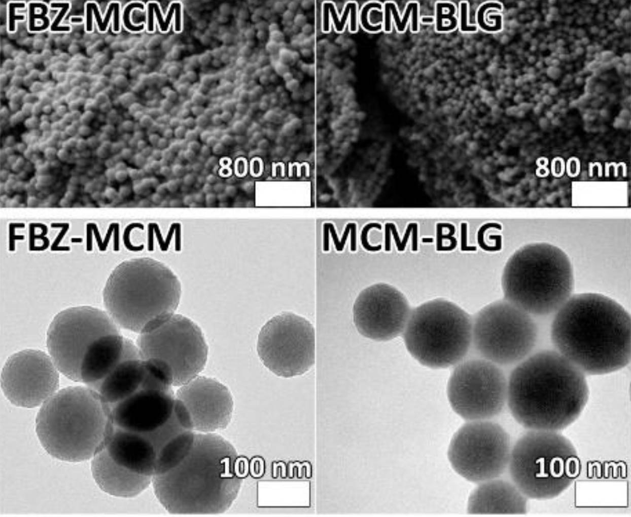 Fenbendazole microscopic study